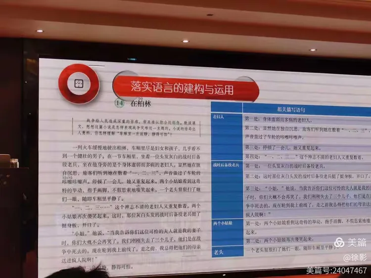 塞翁失马打一正确生肖的警惕虚假宣传-全面释义、前沿解答解释落实
