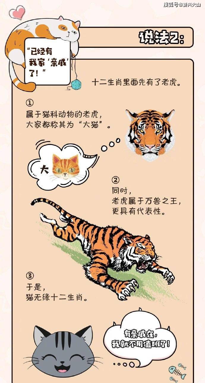 照猫画虎打一准确生肖答案请全面释义、解释与落实、科学解答解释落实
